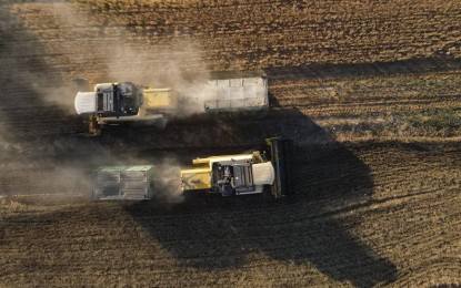 <p>Aerial photo taken on July 12, 2022 shows farmers harvesting wheat in a field in Ankara, Turkey. <em>(Photo by Mustafa Kaya/Xinhua)</em></p>