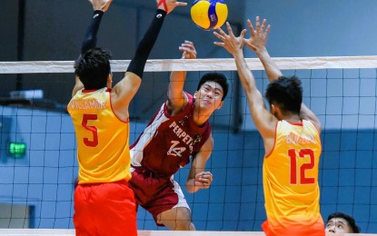<p><strong>4TH WIN</strong>. University of Perpetual Help skipper Louie Ramirez tries to score on a spike against San Sebastian College's Kyle Angelo Villamor (left) and Jilbert Duguen (right) during their match in the V-League Men’s Collegiate Challenge at the Paco Arena in Manila on Sunday (Nov. 13, 2022). Perpetual won, 25-17, 25-17, 25-19. <em>(Photo courtesy of PVL Media Bureau)</em></p>