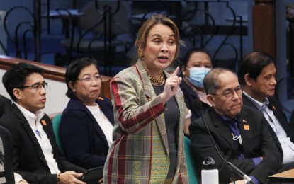 <p>Senator Loren Legarda <em>(PNA file photo by Avito Dalan)</em></p>