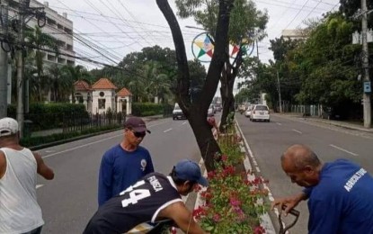 <p><strong>MASSIVE TREE PLANTING</strong>. The city government plants trees on the road island of Iloilo City. Around 14,000 trees have been planted in various vacant spaces in the city due to massive tree-planting activities. <em>(Photo courtesy of Armando Dayrit)</em></p>