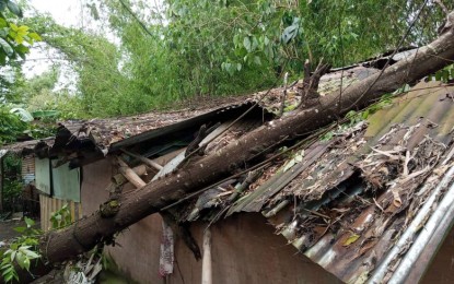 <p><strong>SHELTER MATERIALS.</strong> A totally damaged house in the town of Sibalom during Severe Tropical Storm Paeng on Oct. 29, 2022. Antique Provincial Disaster Risk Reduction and Management officer Broderick Train said Thursday (Nov. 17, 2022) they are procuring shelter materials to be given to those with totally damaged houses in Antique. <em>(PNA photo courtesy of Melanie Raymaro)</em></p>