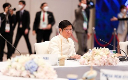 <p>President Ferdinand R. Marcos Jr. during the 29th Asia-Pacific Economic Cooperation (APEC) Leaders Meeting in Thailand <em>(PNA file photo) </em></p>