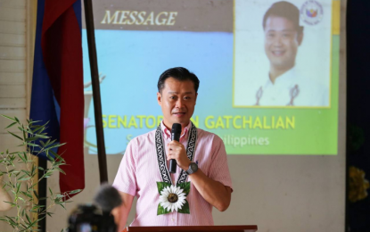 <p>Senator Win Gatchalian <em>(Contributed photo)</em></p>