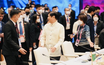 <p>President Ferdinand R. Marcos Jr. during the 29th  Asia-Pacific Economic Cooperation (APEC) Summit. <em>(Photo courtesy of the Office of the Press Secretary) </em></p>
