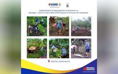 <p><strong>CASH-FOR-WORK</strong>. Beneficiaries of the Department of Social Welfare and Development's (DSWD) cash-for-work program under the KALAHI-CIDSS in Iriga City, Camarines Sur render community work from Nov. 19-29, 2022. The project is specifically intended for households with at least one person with disability. <em>(Infographic courtesy of DSWD-5)</em></p>
