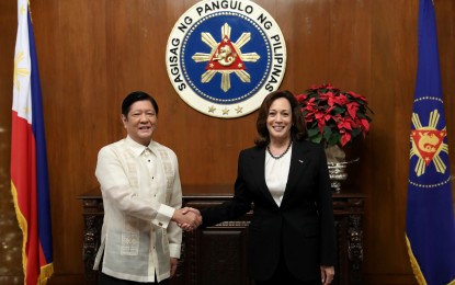 <p><strong>VP HARRIS VISIT</strong>. President Ferdinand R. Marcos Jr. shakes hand with US Vice President Kamala Harris during a courtesy call at Malacañan Palace on Monday (Nov. 21, 2022). Harris, who is on a three-day working visit to the Philippines, will also fly to Palawan on Tuesday. <em>(PNA photo by Rey S. Baniquet)</em></p>