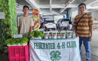 <p><strong>VEA BROTHERS.</strong> Michael Vincent (left) and Marvin Xavier Vea of Barangay Bagbago, Solsona, Ilocos Norte sell hydroponic lettuce during a Kadiwa trade fair recently at the Laoag City Centennial Arena. To inspire young agripreneurs, the Department of Agriculture is giving start-up capital and other incentives to those who have a promising agri-business venture. <em>(Contributed photo)</em></p>