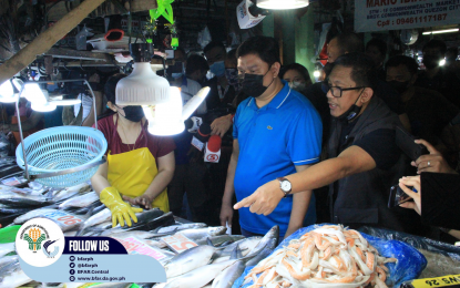 <p><strong>IMPORTED FROZEN FISH.</strong> Officials of the Bureau of Fisheries and Aquatic Resources (BFAR) visit Commonwealth Market in Quezon City for their information campaign on Thursday (Nov. 24, 2022). Their campaign intends to educate vendors on the policies for imported frozen fish. <em>(Photo courtesy of DA-BFAR)</em></p>
