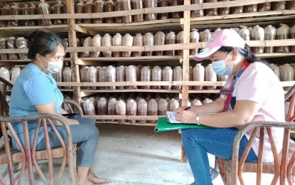 <p><strong>LIVELIHOOD ASSISTANCE.</strong> A resident who is engaged in mushroom production from Piddig, Ilocos Norte gets interviewed by a field staff of the DSWD for the grant of livelihood assistance in this undated photo. Under the DSWD's sustainable livelihood program, each beneficiary is given up to PHP15,000 to support his/her business. <em>(Photo courtesy of DSWD Field Office 1)</em></p>
