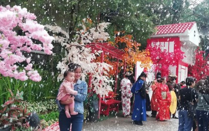 <p><strong>'ASIAN WHITE CHRISTMAS'.</strong> The Baguio Country Club's Christmas village features the oriental winter wonderland giving the guests a feel of the season in Japan and South Korea in this undated photo. The mainstay's snow show and a play showing the nativity scene are also shown as a reminder of the season's reason to celebrate. <em>(PNA photo by Liza T. Agoot)</em></p>