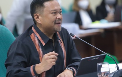 Solon reiterates opposition to NAIA privatization | Philippine News Agency