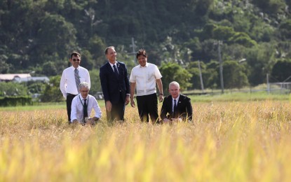 <p><strong>IRRI VISIT.</strong> President Ferdinand R. Marcos Jr. recreates a photo of his late father's visit to the International Rice Research Institute headquarters in Los Baños, Laguna province with IRRI senior scientist Virender Kumar (standing, left), IRRI director general Jean Balie (center), IRRI lead specialist for phenotyping and crop monitoring Steve Klassen (left, squatting), and IRRI chief of staff AJ Poncin (left, squatting) on Tuesday (Nov. 29, 2022). Marcos said national government must make use of new technologies to transform the country’s agriculture sector <em>(PNA photo by Rey Baniquet)</em></p>