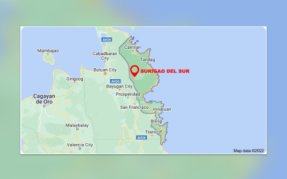 <p>Google map of Surigao del Sur.</p>