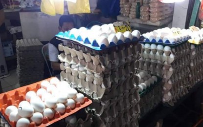 <p> </p>
<p><strong>EGGS SUPPLY.</strong> The province of Negros Occidental prohibits the entry of table eggs from areas with confirmed bird flu cases, including the neighboring Panay and Guimaras Islands, as well as Luzon and Mindanao.  The Provincial Veterinary Office, however, assured Negrenses on Friday (Dec. 9, 2022) that the province has a sufficient supply of eggs for household consumption. <em>(Photo courtesy of PVO-Negros Occidental)</em> </p>