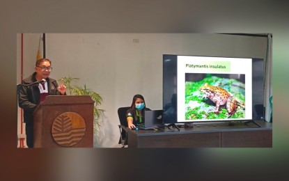 <p><strong>PLATYMANTIS INSULATOS.</strong> Danilo Lorilla, chief of the Department of Environment and Natural Resources - Conservation and Development Division (DENR-CDD), presents the Platymantis Insulatos, a frog species that is endemic only in the municipality of Carles in Iloilo province, during a media forum on Monday (Dec. 12, 2022). Carles hosts the Sicogon Island Wildlife Sanctuary, the first wildlife sanctuary in Western Visayas. <em>(PNA photo by PGLena)</em></p>
<p> </p>
