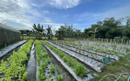 <p>FARM SCHOOL. A portion of the Tiu Cho Teg- Ana Ros Foundation Integrated Farm School in Iloilo City, one of the DepEd-run farm schools in Western Visayas, gets private sector support. <em>(PNA photo courtesy of Ramir Uytico FB page)</em></p>