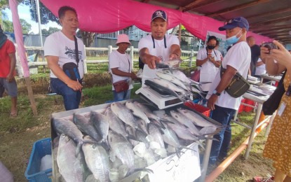 <p><strong>BANGUS FEST</strong>. MIlkfish of various sizes are on display at the one-day Bangus Fair of the provincial government of Guimaras, in partnership with the Sibunag Fish Producers Association. Some 5.1 tons of bangus was allotted for the event held at the Guimaras provincial capitol grounds on Friday (Dec. 16, 2022). <em>(Photo from Guimaras Now FB page)</em></p>