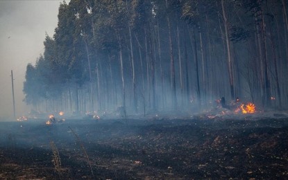 <p><strong>BURNING.</strong> Forest fires have been raging in at least seven provinces in Argentina.  Authorities urged local leaders to implement tougher programs to prevent fires from spreading.  <em>(Anadolu)</em></p>
