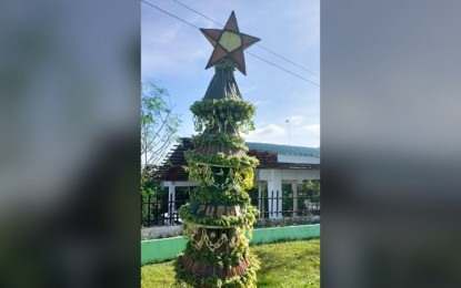 <p><strong>WINNING ENTRY.</strong> The Christmas tree that won over two other entries in a contest during the Christmas party of the Nagbangi II Elementary School in San Remigio, Antique on Dec. 16, 2022. Roscy Lee Novisteros, head teacher of the school, said on Monday the winning Christmas tree is made of coconut leaves that are available since the trees are abundant in the area. <em>(PNA photo courtesy of Roscy Lee Novisteros)</em></p>