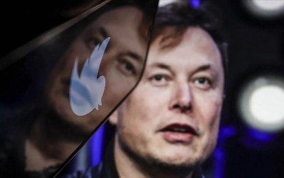 <p>Elon Musk <em>(Anadolu)</em></p>