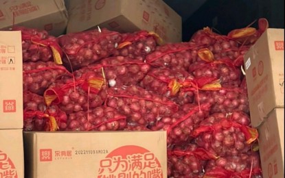 <p style="text-align: left;"><strong>SMUGGLED. </strong>Agents of the Customs Intelligence and Investigation Service inspect PHP171 million worth of smuggled agricultural products, including fresh red and white onions and carrots that arrived at the Manila International Container Port from China from Nov. 12 to Dec. 3, 2022. The contraband was discovered in a series of examinations by Customs officers from Dec. 6 to 22, 2022. <em>(Photo courtesy of BOC)</em></p>