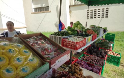 <p><strong>CHEAPER NOCHE BUENA ITEMS</strong>. Fresh fruits, vegetables and other products are on sale at the Kadiwa ng Pasko outlet at the Provincial Capitol Compound, City of San Fernando, Pampanga from Dec. 19-29, 2022. The Department of Agriculture (DA), together with other government agencies, rolled out the stalls in several parts of Central Luzon as part of the government’s efforts to offer consumers more affordable noche buena goods and agricultural products. <em>(Photo courtesy of the Department of Agriculture Region 3)</em></p>