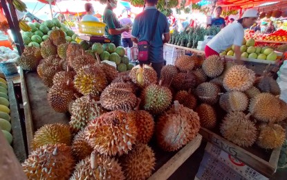 <p><strong>HUGE MARKET.</strong> Davao City’s local government is keen on expanding the production of durian due to a huge market in China, the City Agriculturist Office (CAgro) said Friday (Dec. 30, 2022). Davao City is conducive for durian production as the crop thrives in areas with an elevation of 800 meters above sea level and lower.<em> (PNA photo by Robinson Niñal Jr.)</em></p>
