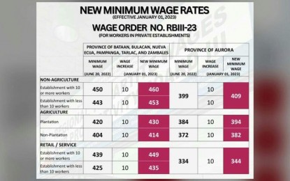 <p><strong>NEW WAGE HIKE.</strong> Minimum wage earners in Central Luzon will receive the second tranche of the daily wage increase amounting to PHP10 starting Jan. 1, 2023. This is pursuant to Wage Order No. RBIII-23 that mandates a PHP40 increase in the daily minimum wage of workers in private establishments in the region.  <em>(Infographic by RTWPB Region 3)</em></p>
