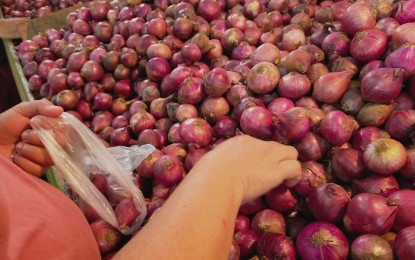 DA eyes ‘regulated’ importation amid rising onion prices