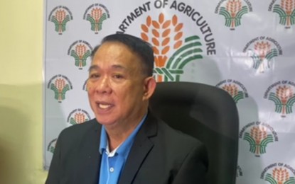 <p><strong>OPEN TO PROBE</strong>. Department of Agriculture Assistant Secretary Rex Estoperez assures consumers that the department is open for investigation on the onion procurement, in an interview on Tuesday (Jan. 10, 2023). He said a probe would even help determine the situation on the ground. <em>(Screengrab)</em></p>