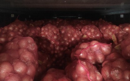<p><strong>BUSTED.</strong> Sacks of onions were discovered inside seven containers during a thorough examination by Customs officers at the Manila International Container Port on Jan. 10, 2023. The shipment of smuggled onions that arrived from China had an estimated value of PHP153 million. <em>(Photo from BOC-MICP)</em></p>