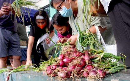 <p><strong>MAIN ATTRACTION.</strong> Onions, no matter the size, remain the top seller of the Kadiwa store at the Department of Agriculture central office along Elliptical Road in Diliman, Quezon City on Saturday (Jan. 14, 2023). The smaller variety called shallots costs PHP120 per kilo, more affordable than the local regular-sized red onions that are sold for at least PHP350 per kilo in markets.<em> (PNA photo by Robert Oswald P. Alfiler)</em></p>