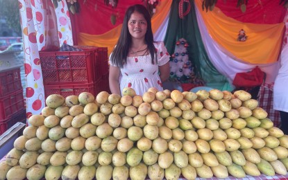 <p><strong>SWEET GOLD</strong>. A vendor sells ripe mangoes at a market in Ilocos Norte in this undated photo. Fruits like these and other farm produce from the province were brought to various parts of Metro Manila, through the "producer to consumer" program, and sold directly to consumers at lower prices. <em>(Photo by Leilanie Adriano)</em></p>