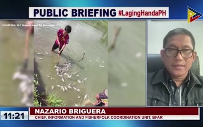 <p><strong>FISHKILL.</strong> Fisheries and Aquatic Resources Information and Fisherfolk Coordination Unit Chief Nazario Briguera says the cost of a fish kill in Lake Sebu in South Cotabato is now at PHP12 million. Nazario said fishers should practice proper regulation on lake farming.<em> (Screengrab)</em></p>
