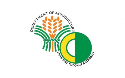 Shipment of 200K coco seed nuts for Dinagat starts