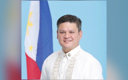 <p>Davao City Representative Paolo Duterte <em>(Photo courtesy of HOR)</em></p>