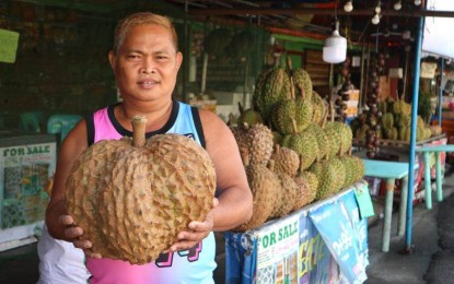 <p>PUYAT VARIETY. A fruit vendor in Davao City shows a Puyat variety durian on Tuesday (Jan. 24, 2023).  The Davao-produced premium Puyat variety will soon enter the China market. <em>(PNA photo by Robinson Niñal Jr.)</em></p>
