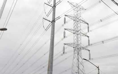 Review of NPC’s small power utility ops sought