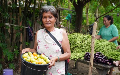 <p><strong>HARVEST TIME.</strong> Nelly Alcantara, a farmer of Ilocano-descent in Abra de Ilog, Occidental Mindoro, shows her tomato harvest in this undated photo. She is the chairperson of Mabunga Vegetable Vendors Association, which is a beneficiary of the Department of Agriculture-Special Area for Agricultural Development (DA-SAAD) program. <em>(Photo courtesy of Jhonzell Panganiban)</em></p>