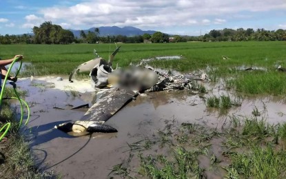 <p><strong>PLANE CRASH.</strong> The wreckage of the Philippine Air Force's (PAF) SIAI-Marchetti SF-260 trainer/light attack turbo-prop aircraft that crashed in a rice paddy in Barangay Del Rosario, Pilar, Bataan on Wednesday (Jan. 25, 2023). The PAF said it is still confirming reports that the two pilots onboard the plane were killed in the crash. <em>(Photo courtesy of Pilar Municipal Police Station)</em></p>