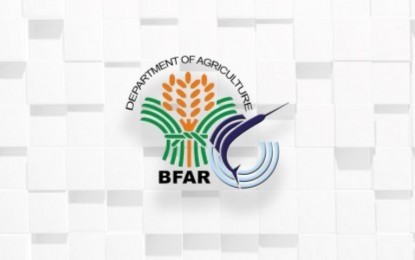 BFAR eyes resumption of fishing in some oil spill-hit areas