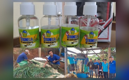 <p><strong>CITRONELLA OIL.</strong>  About 250 farmers and 25 indigenous people are now reaping the benefits of the citronella facility in Bukidnon. The group is expected to earn PHP583,000 annually.  (<em>Photos courtesy of Ritchie Guno</em>)</p>