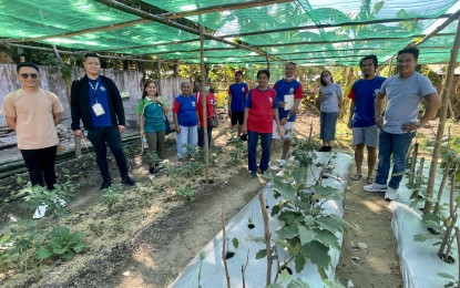 <p><strong>COMMUNAL GARDEN</strong>. Field validators from various government agencies visit a communal garden in Currimao, Ilocos Norte on Jan. 20, 2023. Ilocos Norte is promoting the establishment of vegetable gardens to help boost food security in the province. <em>(PNA photo by Leilanie Adriano) </em></p>