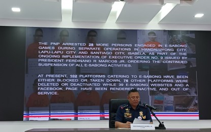 <p>PNP chief Gen. Rodolfo Azurin Jr. <em>(PNA photo by Lloyd Caliwan)</em></p>