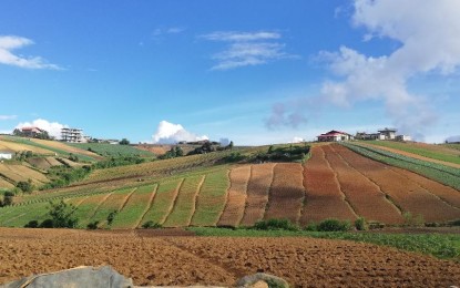 <p><strong>CLUSTERING</strong>. A vegetable farm in Cada, Mankayan, Benguet in this undated photo from 2022. The Department of Agriculture has started the Agriculture Farm and Fisheries Clustering and Consolidation (F2C2) program in Balili, Mankayan, Benguet. <em>(PNA photo by Liza T. Agoot)</em></p>