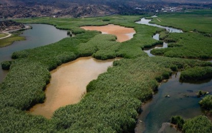 35% of world's wetlands disappeared in last 50 years