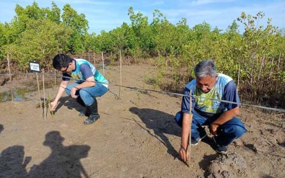 <p><strong>WETLANDS DAY.</strong> Mayor John Dalipe (left) and Engr. Reynaldo Gonzales, Office of the City Environment and Natural Resources Office chief, lead the mangrove planting in Barangay Talon-Talon, Zamboanga City Thursday (Feb. 2, 2023) in observance of the World Wetlands Day. Gonzales calls on the public to help the government in the conservation of wetlands in their communities.<em> (Photo courtesy of Zamboanga CIO)</em></p>