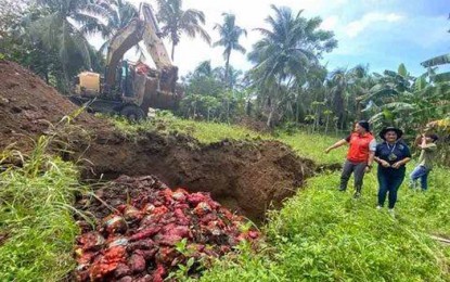<p><strong>SMUGGLED ONIONS</strong>. Some 71,551 kilos of confiscated smuggled onions are buried at the research center of the Department of Agriculture in Sitio San Ramon, Barangay Talisayan, Zamboanga City on Saturday (Feb. 4, 2023). The smuggled onions were seized by authorities in separate anti-smuggling operations last Jan. 22, 23, and 25. <em>(Photo lifted from Pinpin Parehja FB page)</em></p>