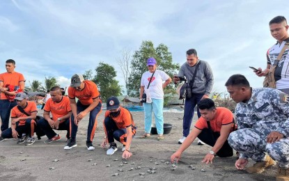 <p><strong>SET FREE</strong>. Members of the Philippine Coast Guard-Cavite release the young sea turtles into their natural habitat late afternoon of Thursday (Feb. 9, 2023). The 50 "pawikan" hatchlings were part of the 400 young sea turtles the PCG-Cavite and local government units of Barangay Labac in Naic, Cavite released for the past two years.<em> (Photo courtesy of PCG-Cavite)</em></p>