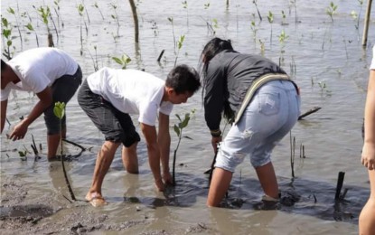 <p><strong>SHARED COMMITMENT.</strong> A couple in E.B. Magalona town, Negros Occidental province plants mangroves in Barangay Tomongtong last week as part of the pre-wedding activities organized by the municipality for the mass wedding on Tuesday (Feb. 14, 2023). “Aside from expressing their commitment to each other, they also took part in the activity as a symbol of their shared commitment and responsibility to protect the environment,” said Mayor Marvin Malacon, who will serve as the solemnizing officer, said in a statement on Monday (Feb. 13). <em> (Photo courtesy of E.B. Magalona PIO)</em></p>